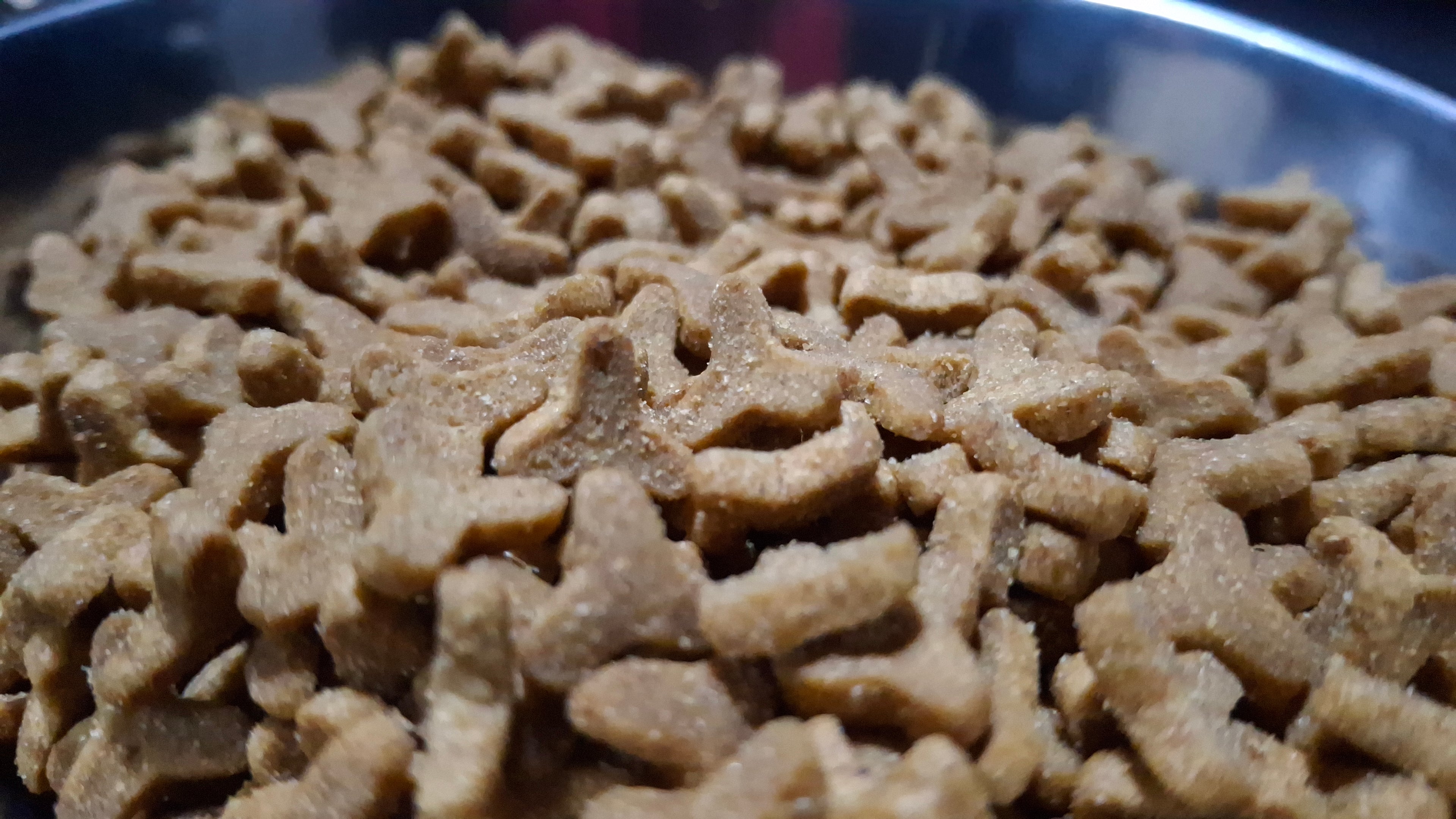 Doodzy cat super premium